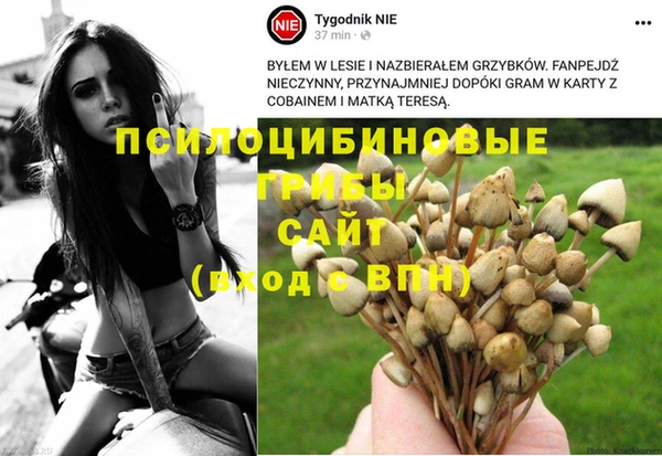 мдпв Волоколамск