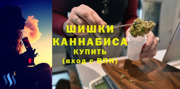 мдпв Волоколамск