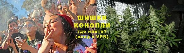 мдпв Волоколамск